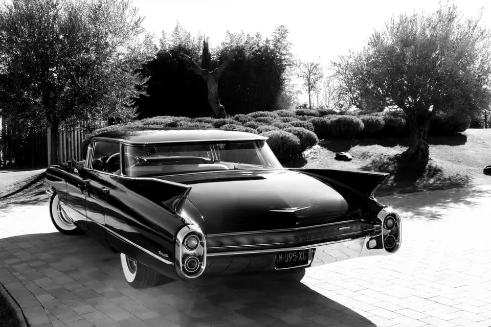 Fashion Cook — photo 5