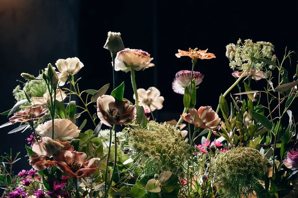 Restaurant Brut — photo 3