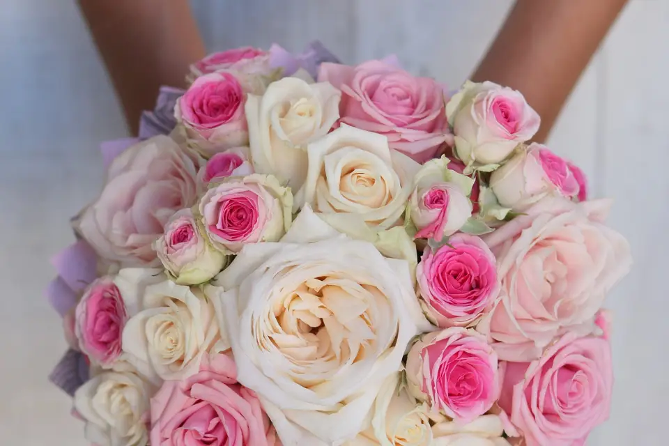 Arums et Délices — photo 5