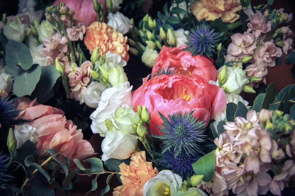 Tom Duby — photo 8