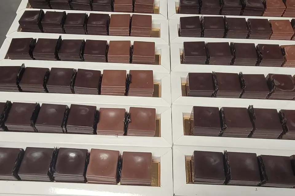 Instant Showco — photo 6