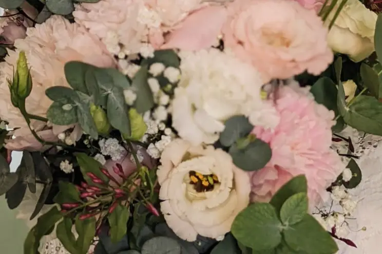 Greenwitch Événements — photo 1