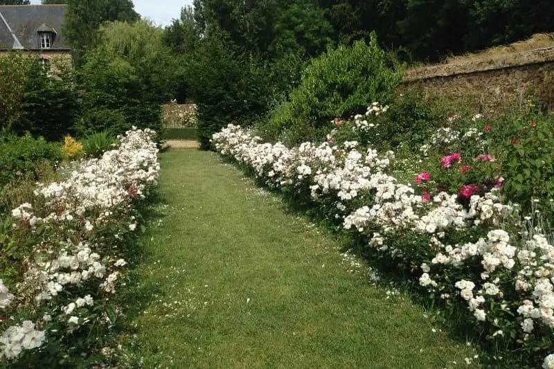 Les Terrasses de la Moglais — photo 6