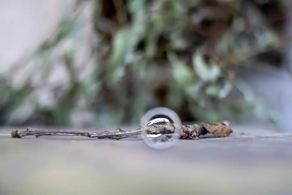 Marlène Verquin Photographie