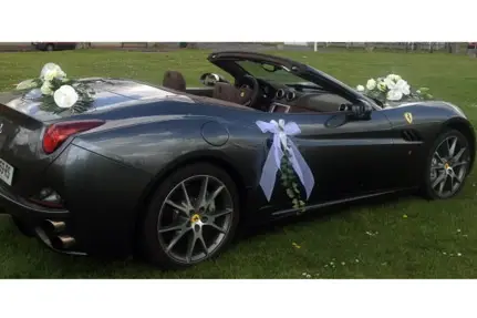 GTS Prestige — photo 6