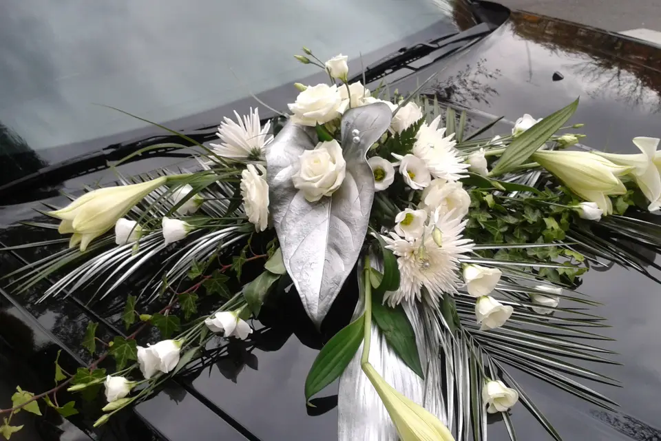 GTS Prestige — photo 5