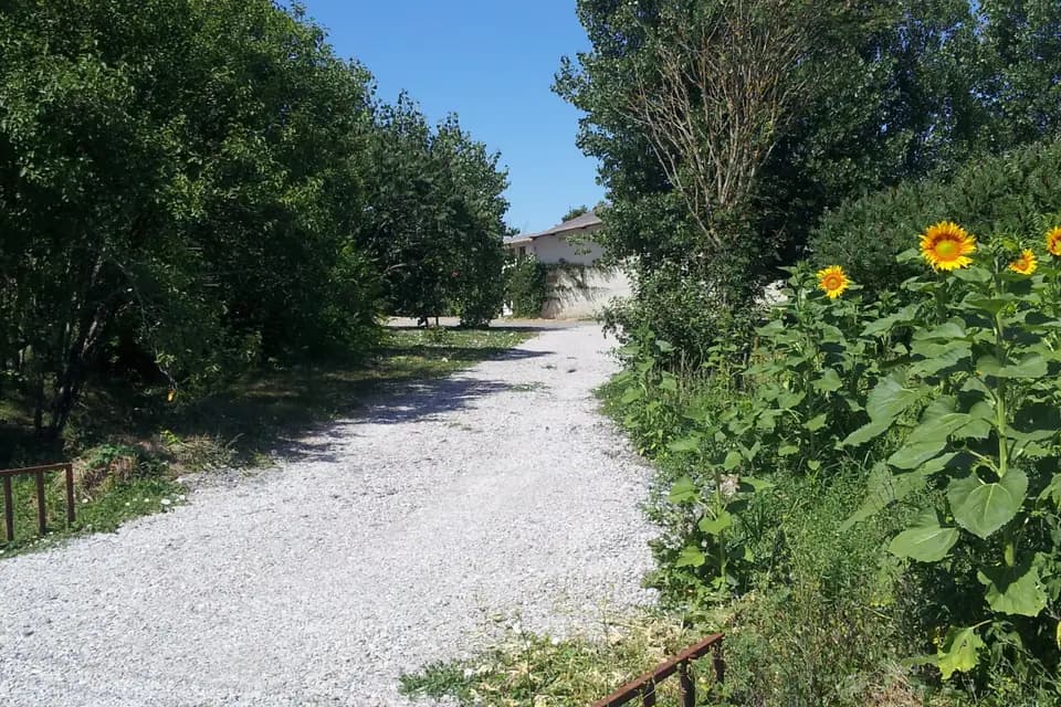 Atout Piol — photo 7