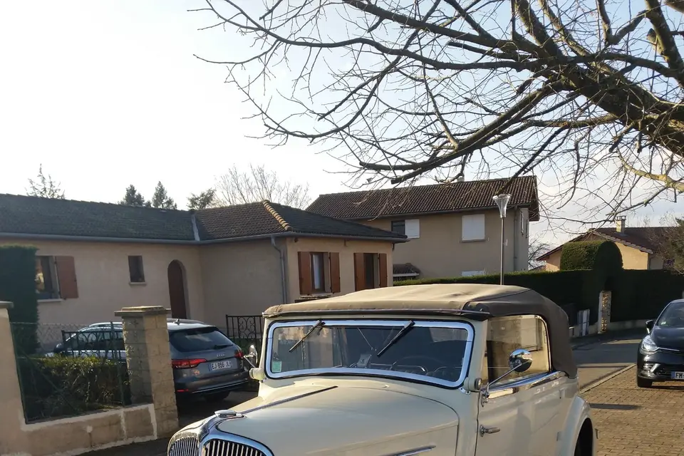 Maptitefolie — photo 6