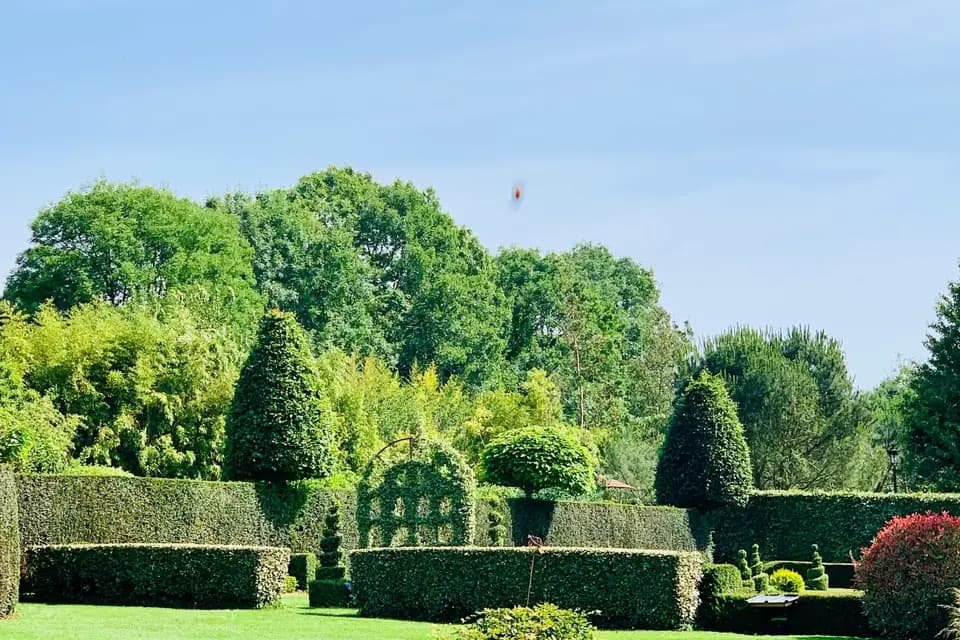 Domaine Albizia — photo 8