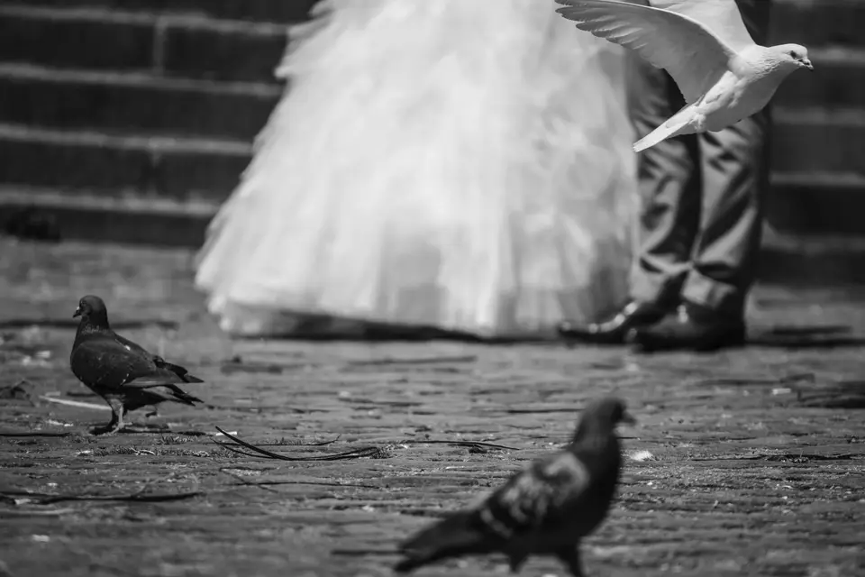 Clic Images — photo 8