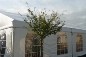 Loca Events — photo 8