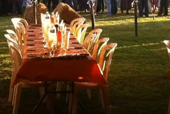 Loca Events — photo 2