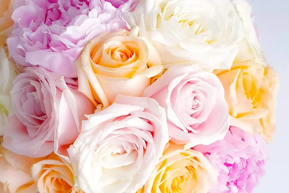 Les Ateliers Hibiscus — photo 6