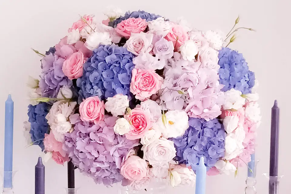 Les Ateliers Hibiscus — photo 8