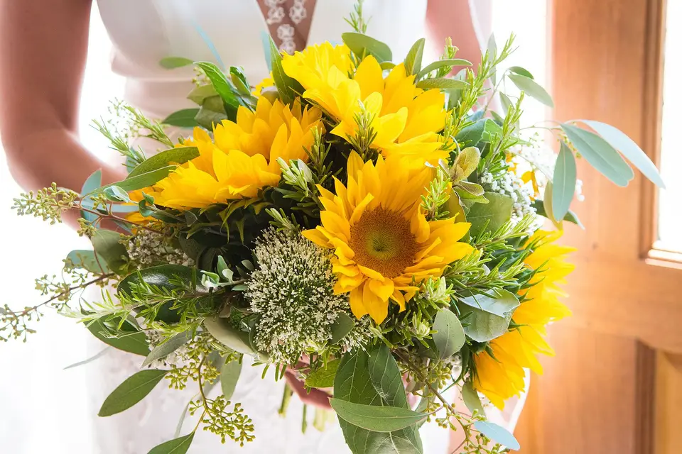 Timothée Lance Photographies — photo 2