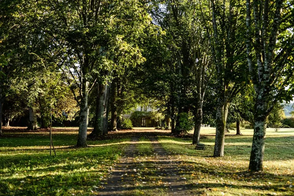 Château de Bagens — photo 3