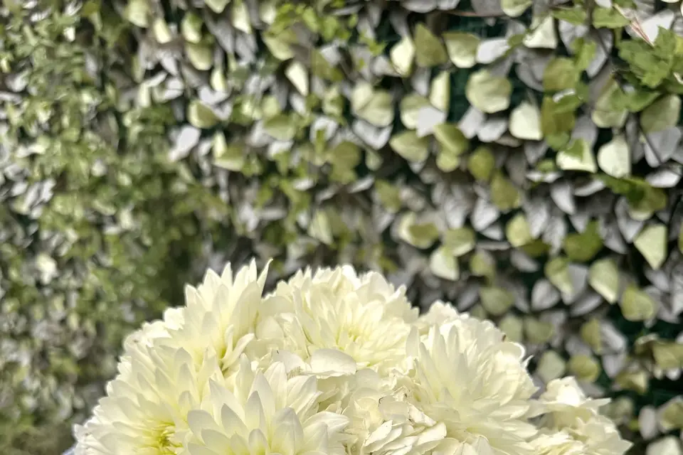 The Blooming Touch — photo 7