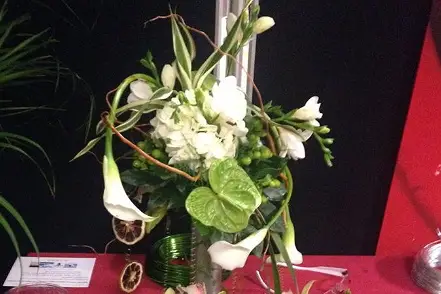 Fleurs & Créations — photo 5