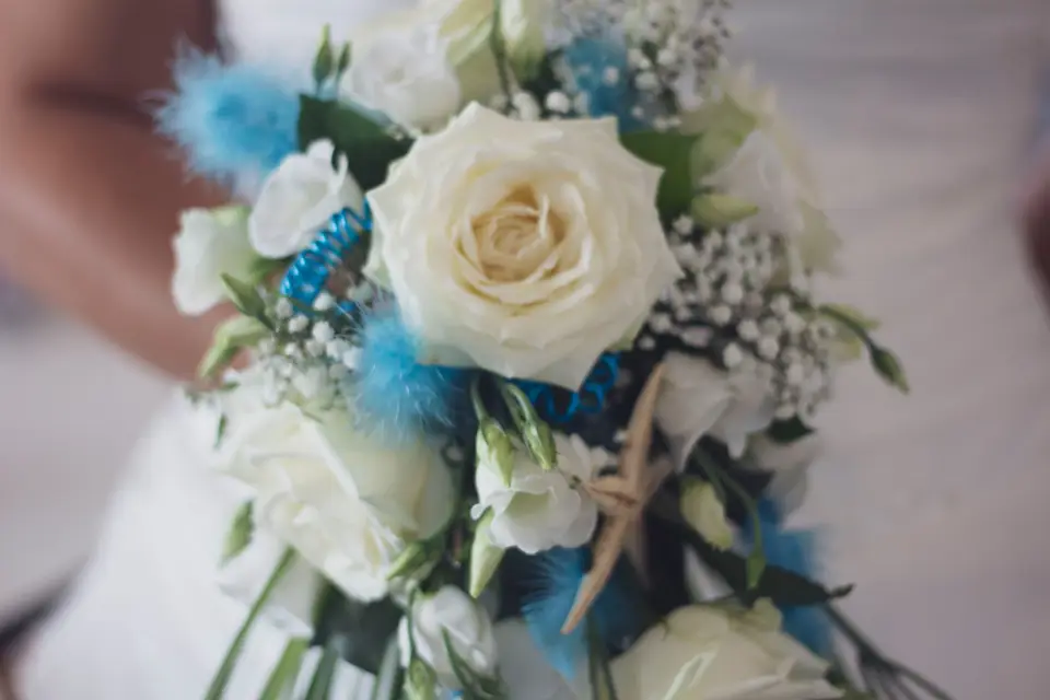 pphotographie — photo 3