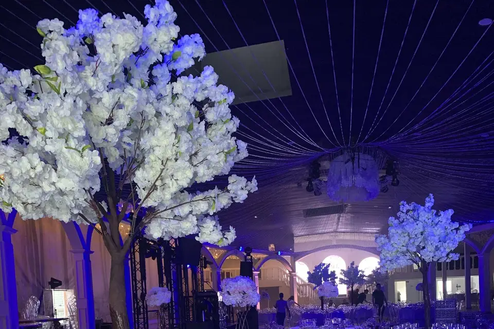 Le Palacio — photo 3