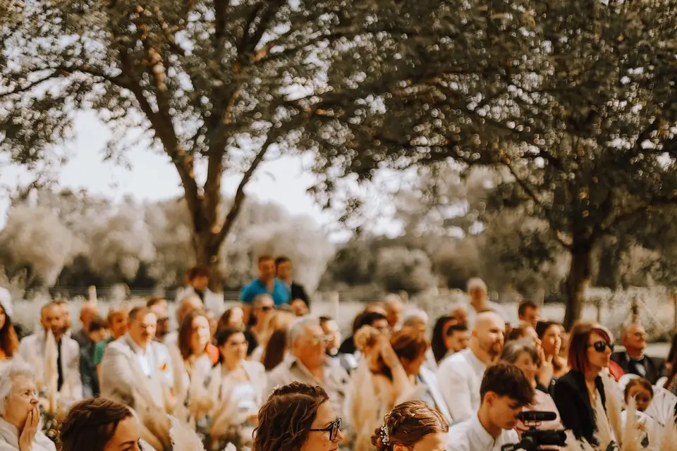 Frissonvisual — photo 6