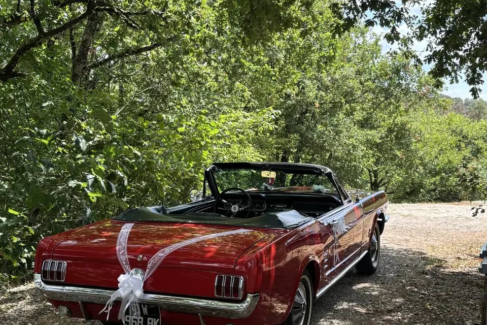 Tay Cars Service — photo 2