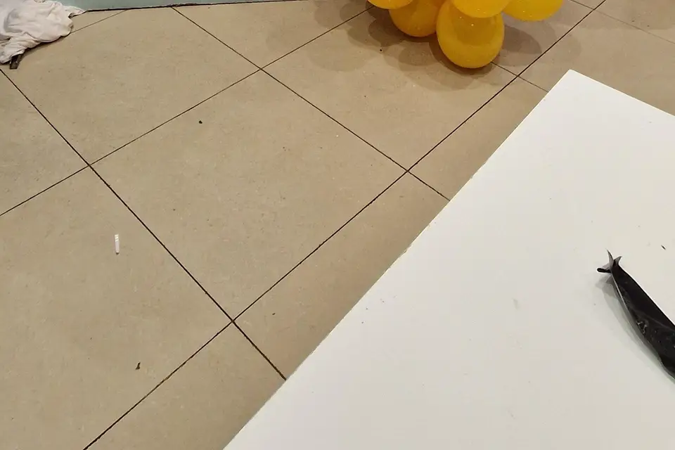 Loulie Event's — photo 4