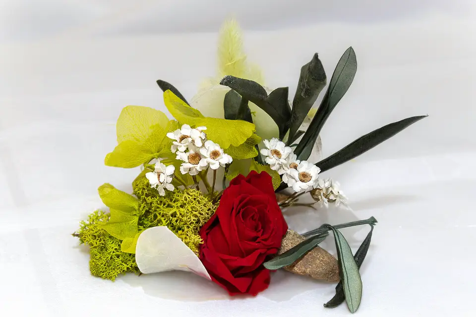 Cadeaux Malins — photo 4