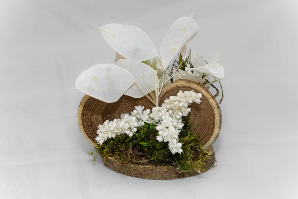 Cadeaux Malins — photo 5