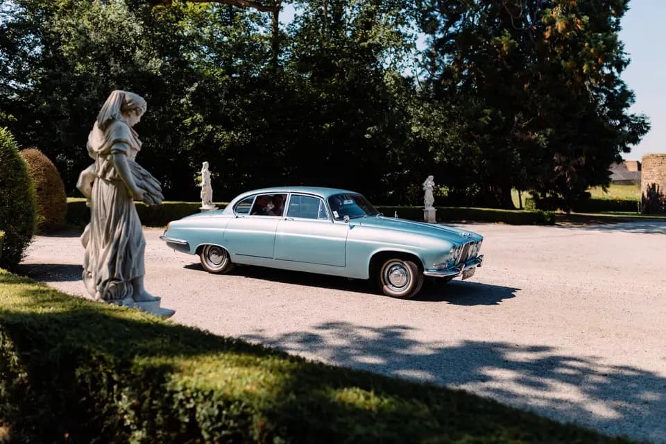 Jaguar Opalescent — photo 3