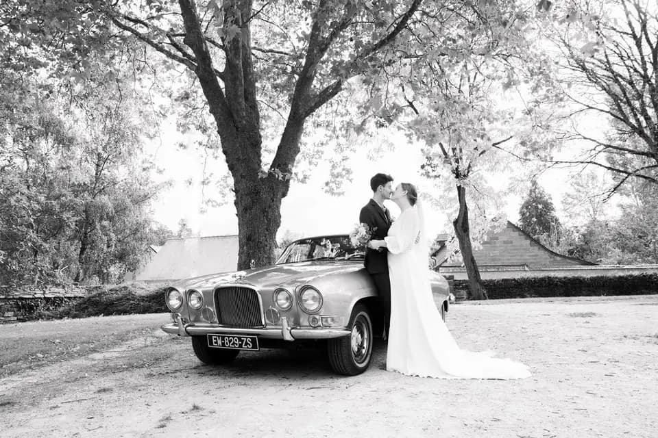 Jaguar Opalescent — photo 7