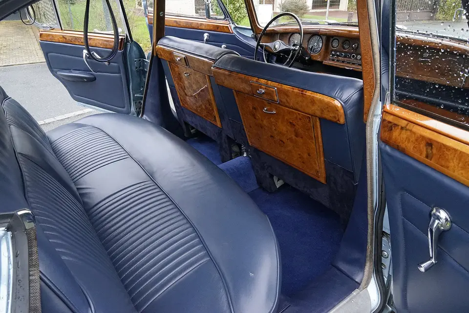 Jaguar Opalescent — photo 2