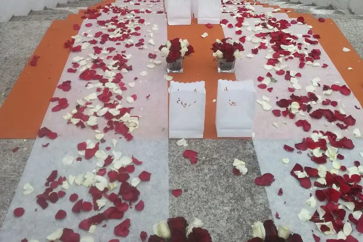 Laure Alliance — photo 2