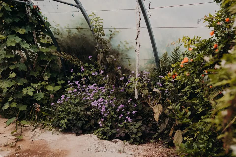 Domaine d’Aunac — photo 8