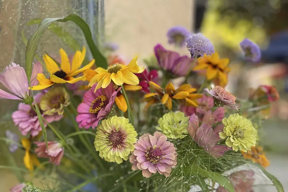 Les Fleurs de l'Alune — photo 5