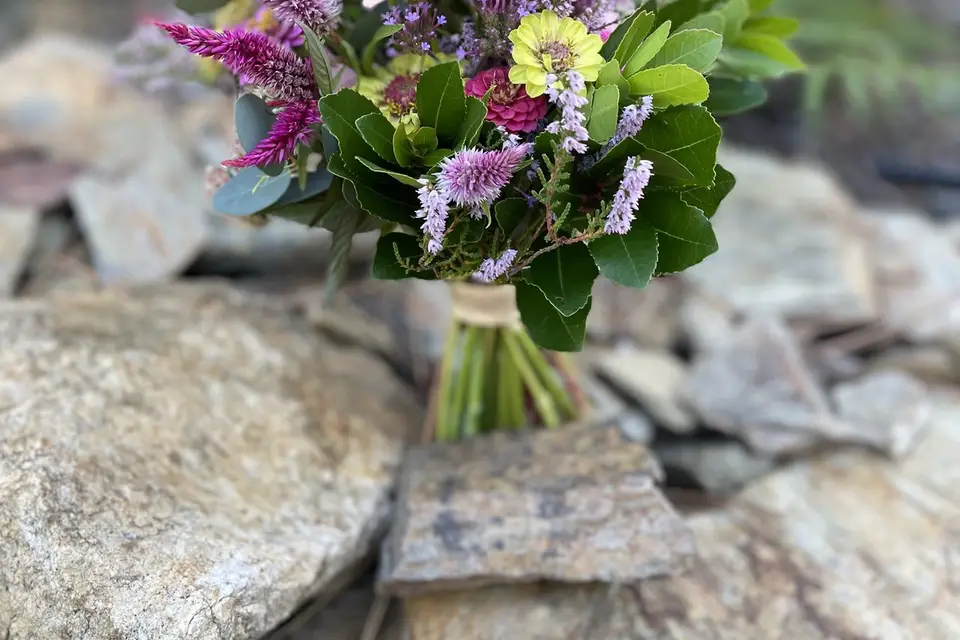 Les Fleurs de l'Alune — photo 7