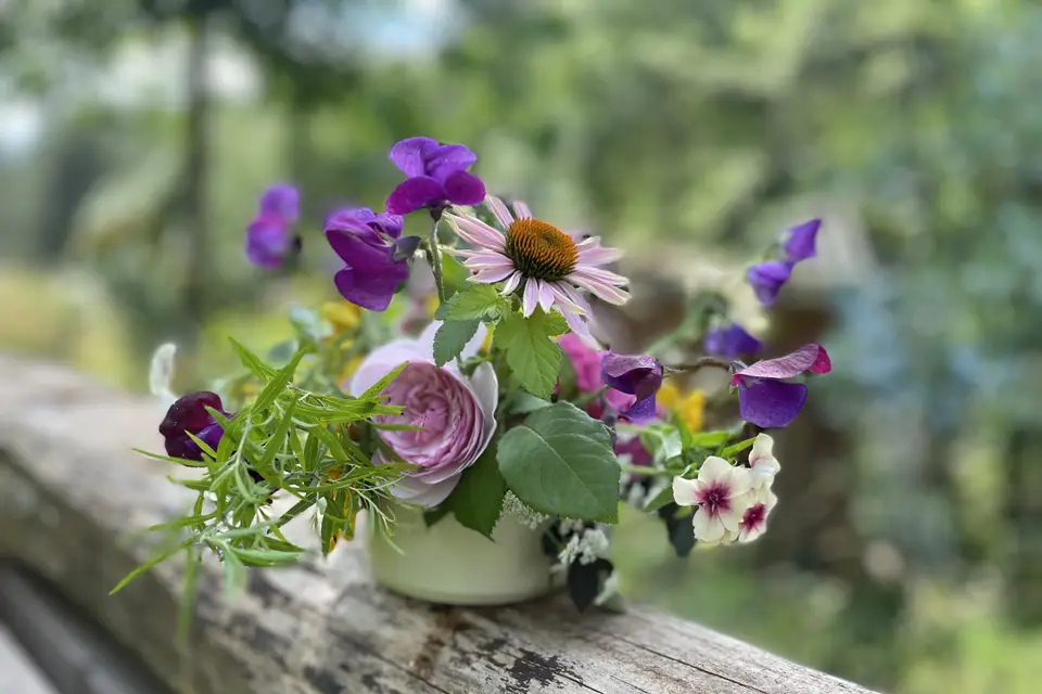 Les Fleurs de l'Alune — photo 1