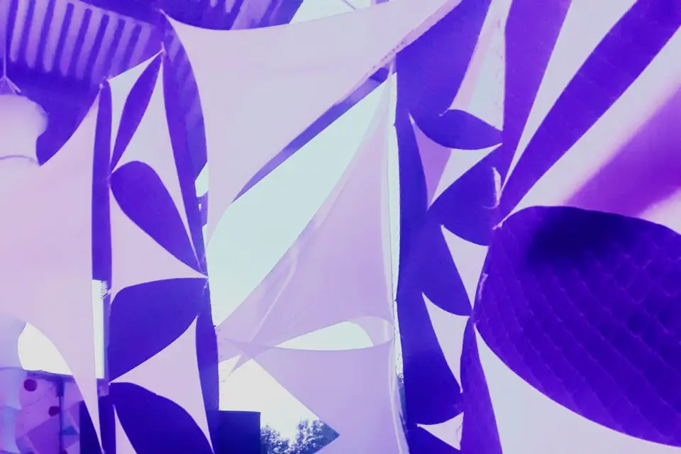 DJ Mapsilva — photo 4