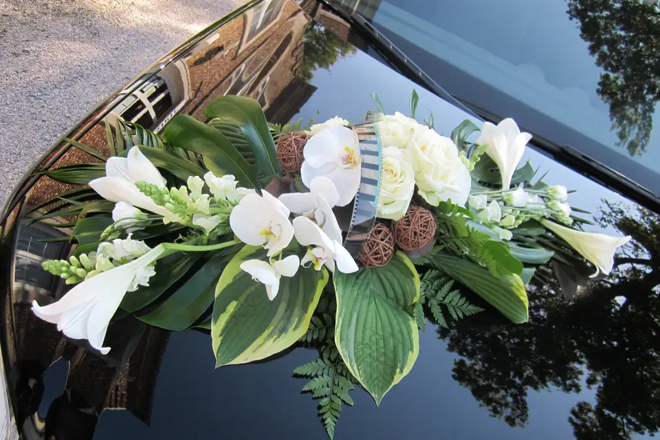 La passion de Béné