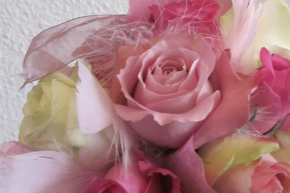 La passion de Béné — photo 4