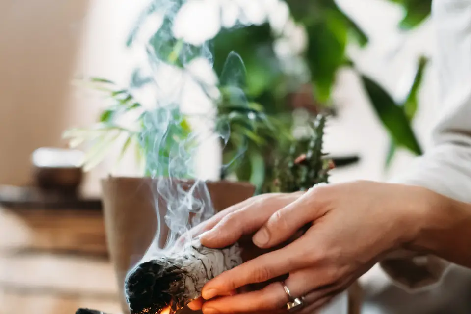 Amour et Célébration — photo 8