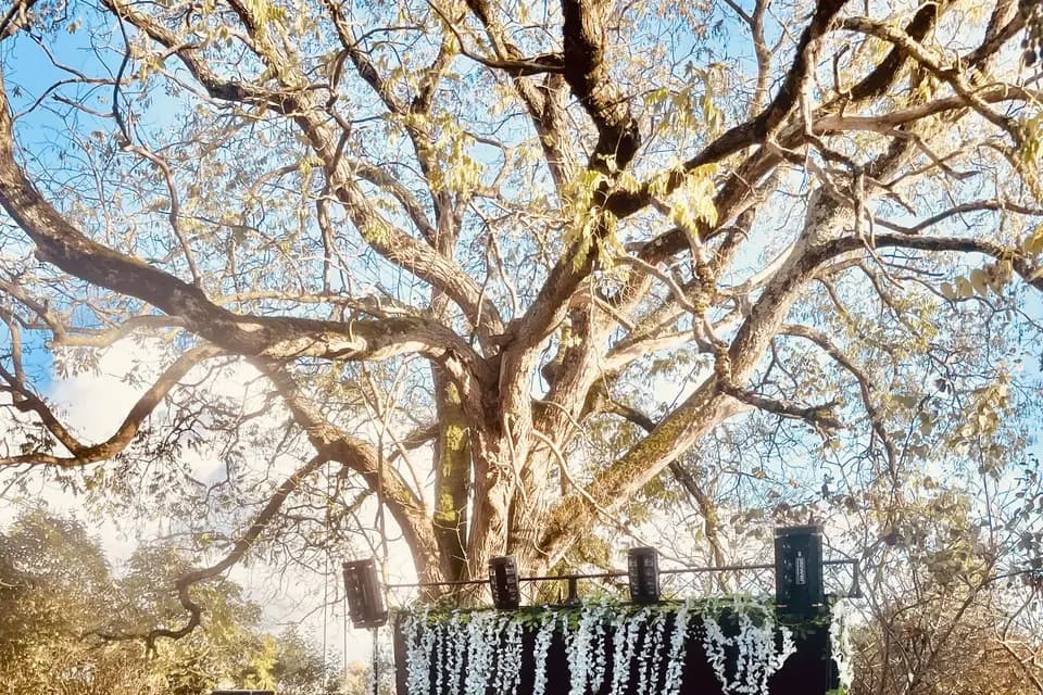 Jerry Kent — photo 6