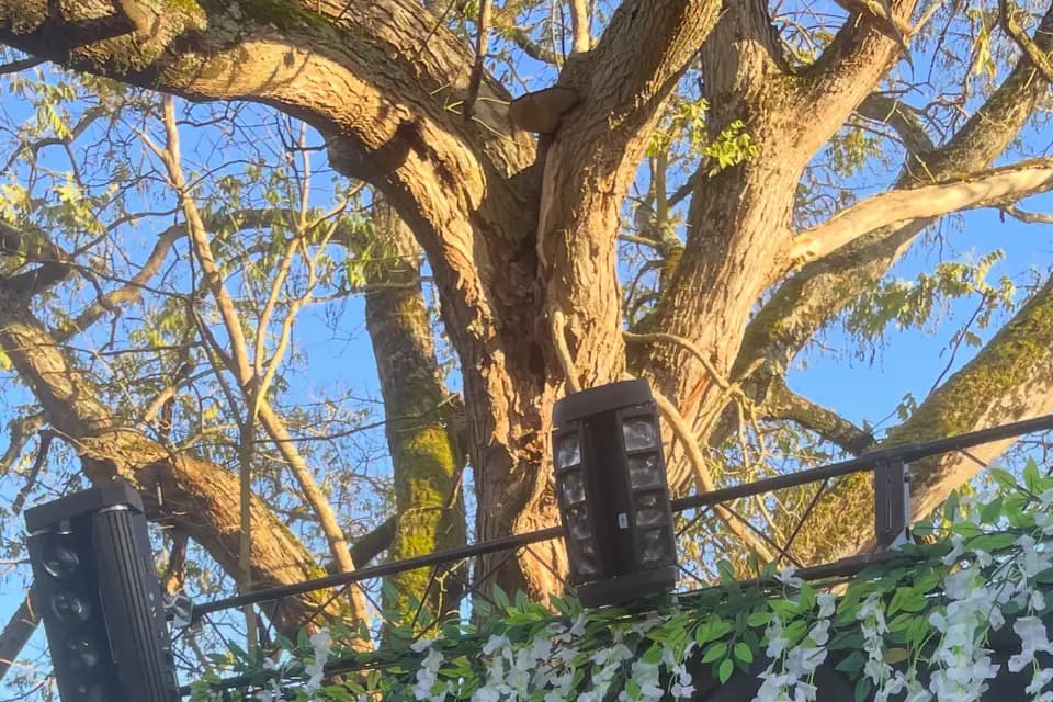 Jerry Kent — photo 8