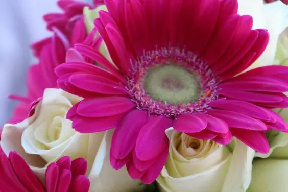 Lubelia Création — photo 8