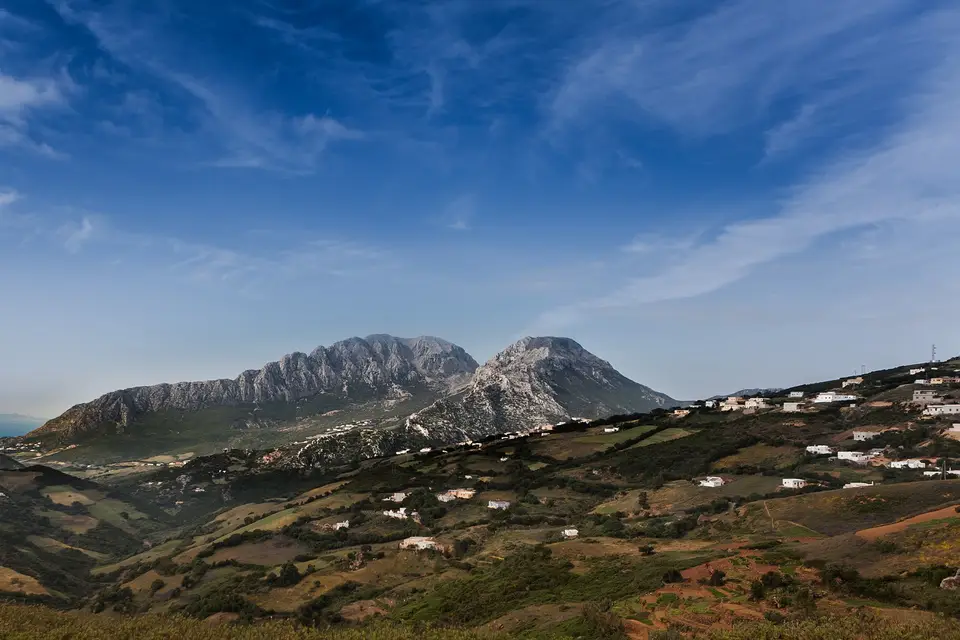 Opener24 — photo 4