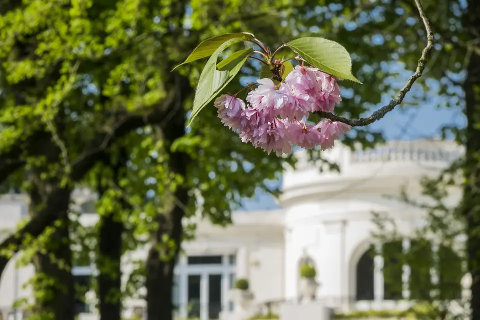 Le Pré Catelan — photo 7