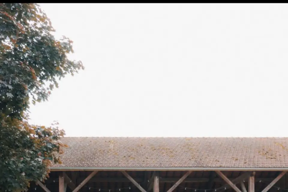 Las Nico Piano — photo 4