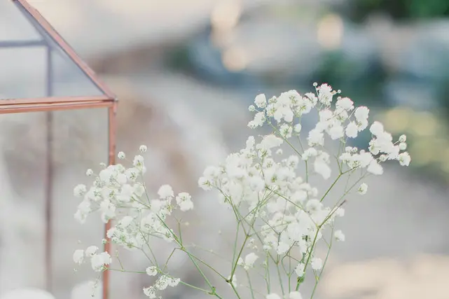 Oh Happy Day — photo 7