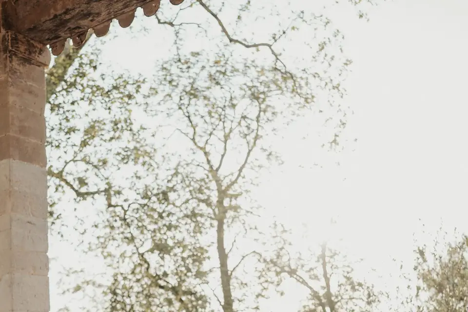 Charline Moreau Photography — photo 1