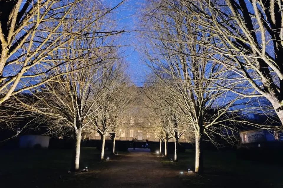 Tourneur Freezer — photo 7